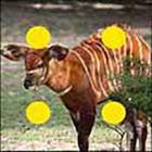 100 Pics answers and cheats level 51-100