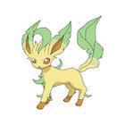 iGuess for Pokemon answers and cheats level 81