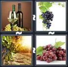 4 Pics 1 Word answers and cheats level 1647