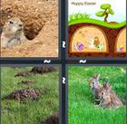 4 Pics 1 Word answers and cheats level 1100