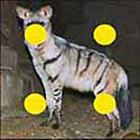 100 Pics answers and cheats level 51-100