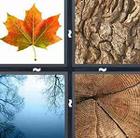 4 Pics 1 Word answers and cheats level 126