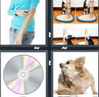 4 Pics 1 Word answers and cheats level 1081