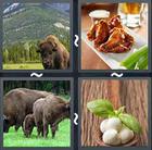 4 Pics 1 Word answers and cheats level 2133