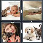4 Pics 1 Word answers and cheats level 3116