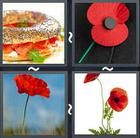 4 Pics 1 Word answers and cheats level 2049