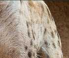 Zoomed In answers and cheats level 131-140