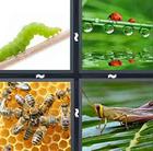 4 Pics 1 Word answers and cheats level 519