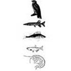 100 Pics answers and cheats level 51-100