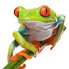 100 Pics answers and cheats level 1-50