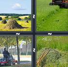 4 Pics 1 Word answers and cheats level 844