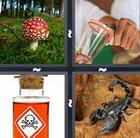 4 Pics 1 Word answers and cheats level 371