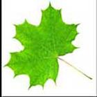 100 Pics answers and cheats level 1-50