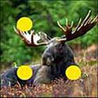 100 Pics answers and cheats level 1-50