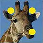 100 Pics answers and cheats level 1-50