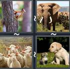 4 Pics 1 Word answers and cheats level 2528