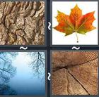 4 Pics 1 Word answers and cheats level 2627