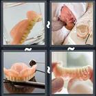 4 Pics 1 Word answers and cheats level 3350