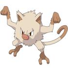 Poke Icon answers and cheats level 121-130
