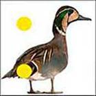 100 Pics answers and cheats level 1-50