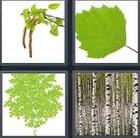 4 Pics 1 Word answers and cheats level 3521