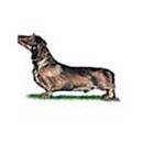 100 Pics answers and cheats level 51-100