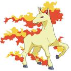 Poke Icon answers and cheats level 21-30