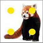 100 Pics answers and cheats level 51-100