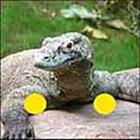 100 Pics answers and cheats level 51-100