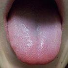 Close Up Pics answers and cheats level 41-7