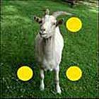 100 Pics answers and cheats level 1-50