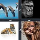 4 Pics 1 Word answers and cheats level 799