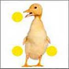 100 Pics answers and cheats level 1-50