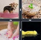 4 Pics 1 Word answers and cheats level 538