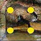 100 Pics answers and cheats level 51-100