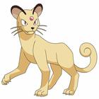 Poke Icon answers and cheats level 61-70