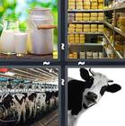 4 Pics 1 Word answers and cheats level 1246