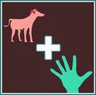 Urban Pic answers and cheats level 4