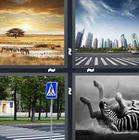 4 Pics 1 Word answers and cheats level 1353