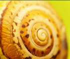 Zoomed In answers and cheats level 251-260