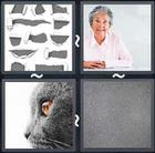4 Pics 1 Word answers and cheats level 1715