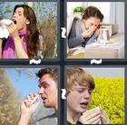 4 Pics 1 Word answers and cheats level 1511