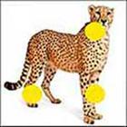100 Pics answers and cheats level 1-50