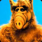 Guess the 80s answers and cheats level 6-9