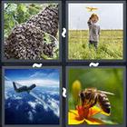 4 Pics 1 Word answers and cheats level 3324