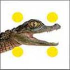 100 Pics answers and cheats level 51-100
