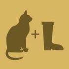 Icomania answers and cheats level 17