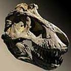 100 Pics answers and cheats level 51-100