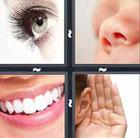 4 Pics 1 Word answers and cheats level 130