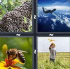 4 Pics 1 Word answers and cheats level 907